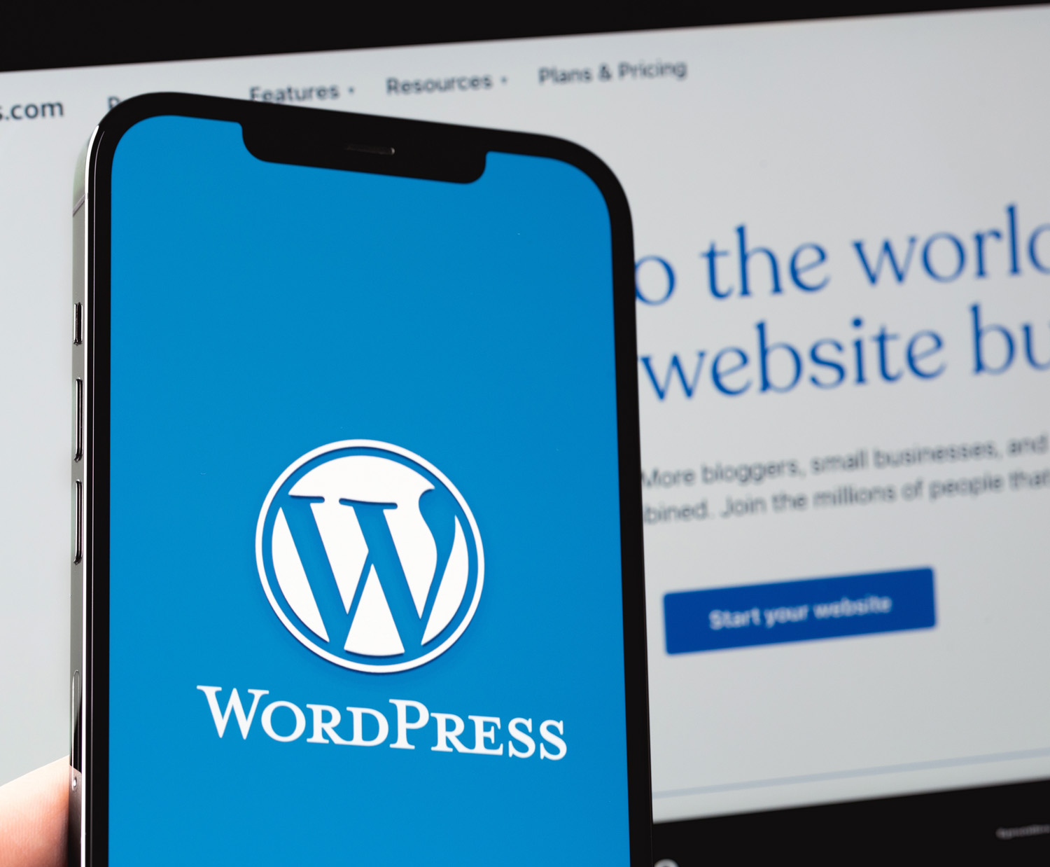 wordpress